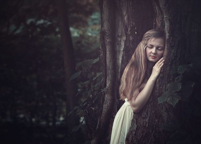 65fa72d3-de87-48b9-8360-9bb003cae32d